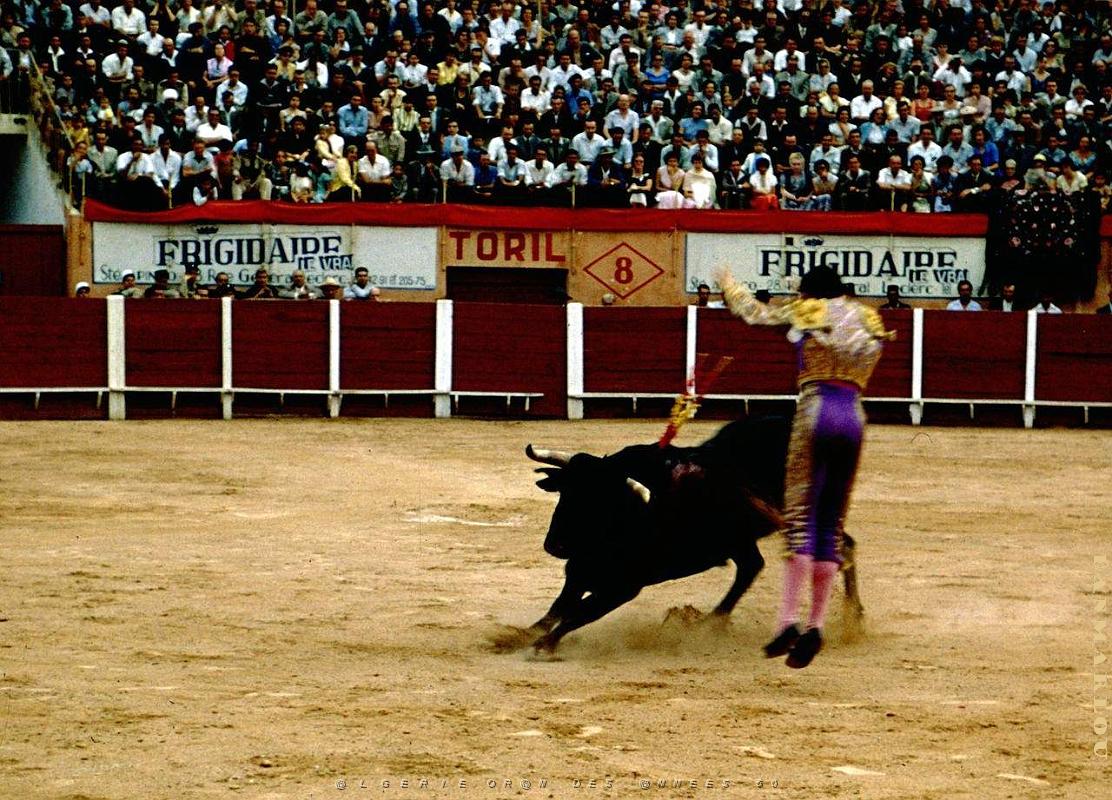 Oran- Arenes d' Eckmulh 45.jpg